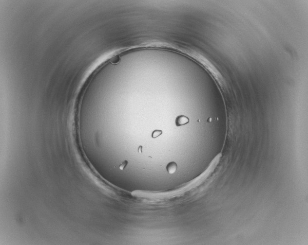 X0000115821142200911271132