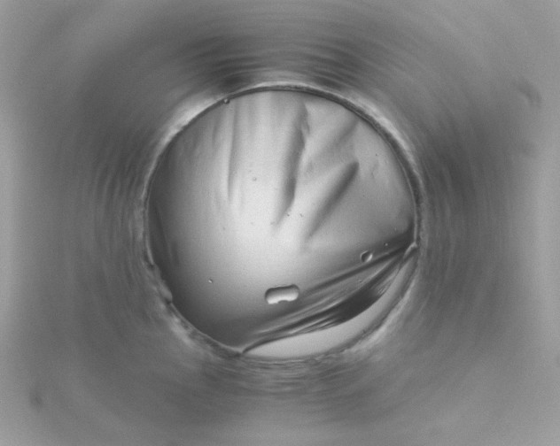 X0000115821145200911271132