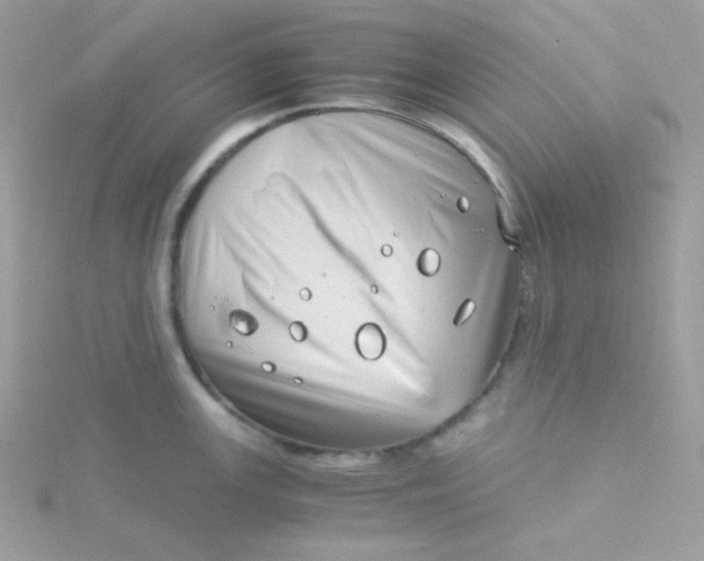 X0000115821147200911271132