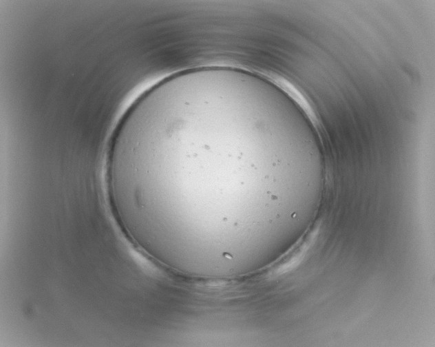 X0000115821149200911271132