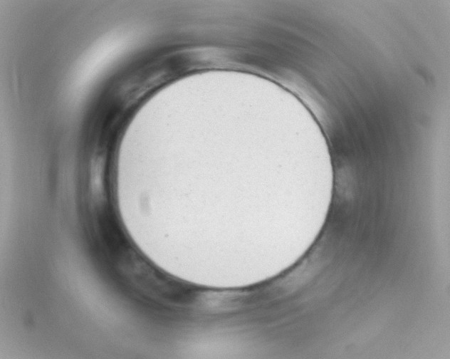 X0000115821150200911271132