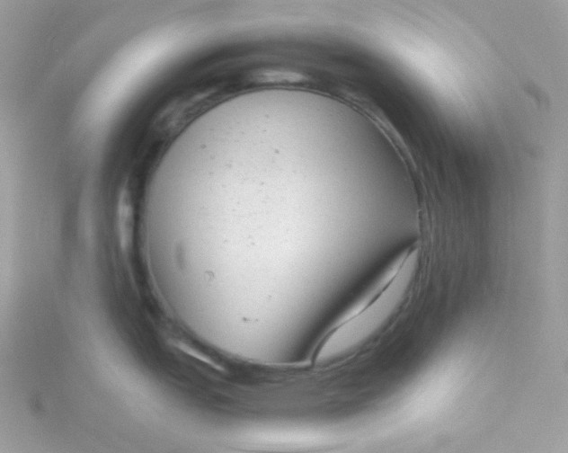 X0000115821151200911271132