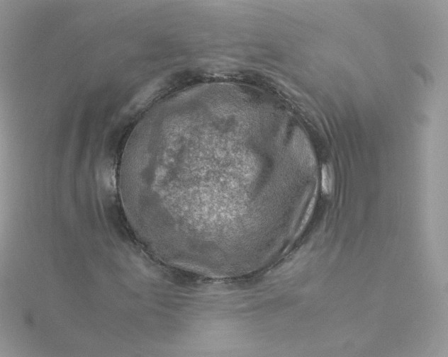 X0000115821155200911271131