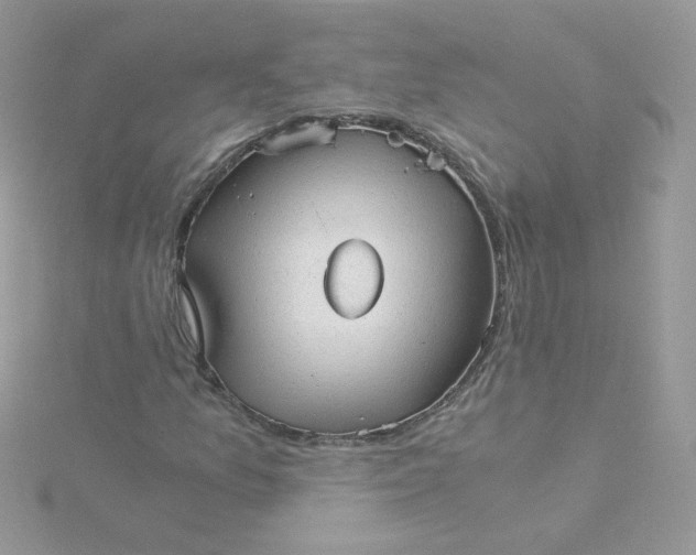 X0000115821157200911271131