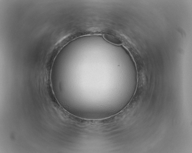 X0000115821158200911271131