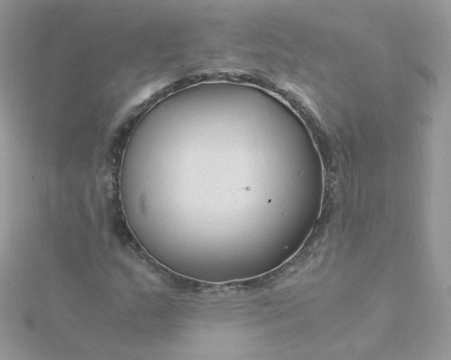 X0000115821159200911271131