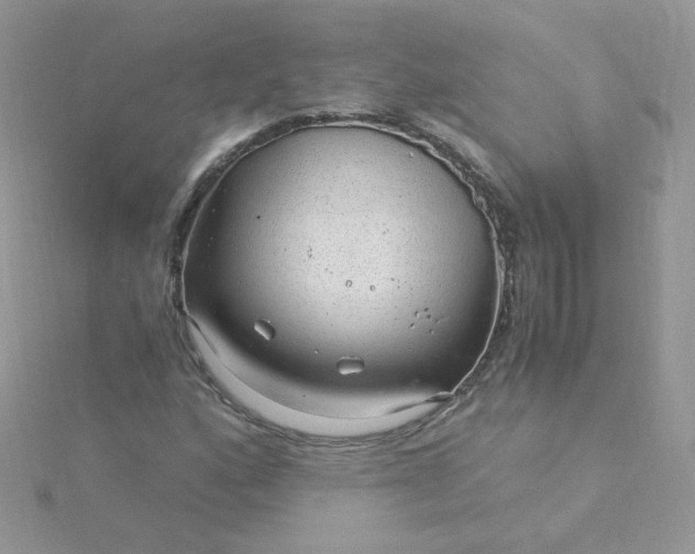 X0000115821160200911271131