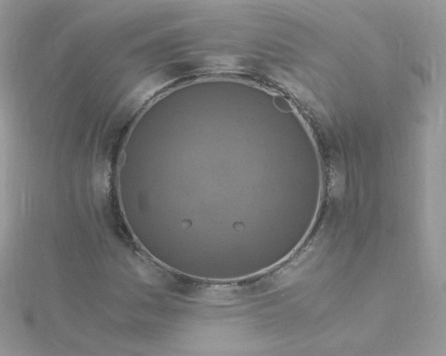 X0000115821161200911271131