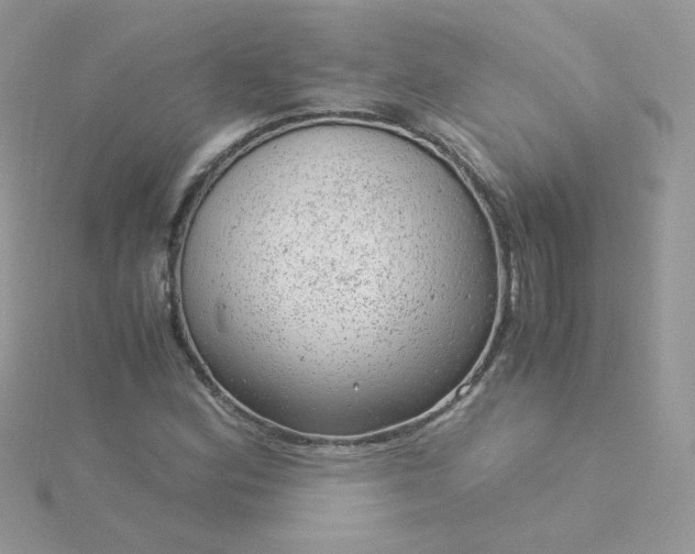 X0000115821164200911271131