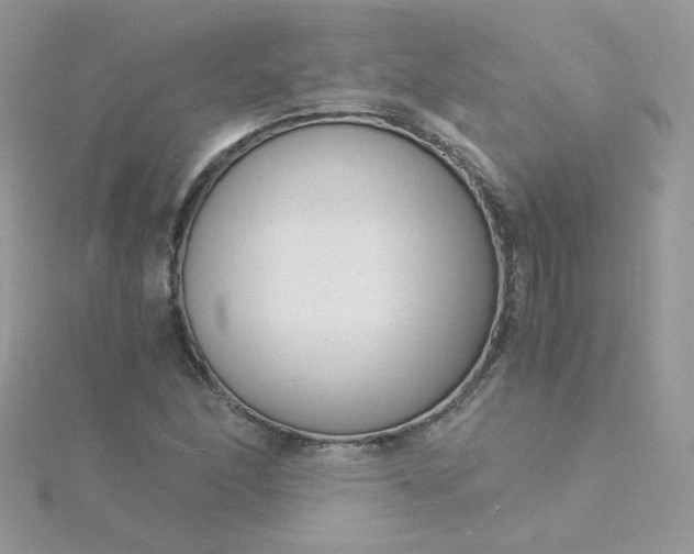 X0000115821166200911271131