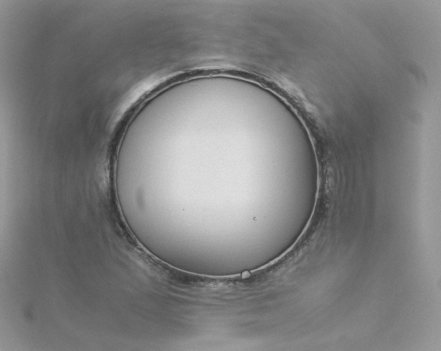 X0000115821167200911271131