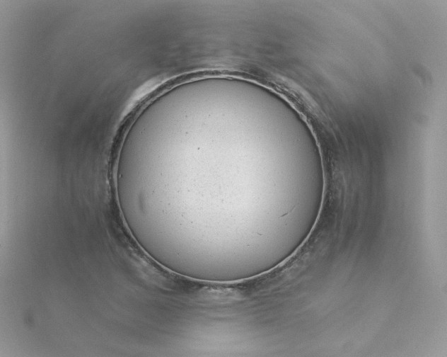 X0000115821168200911271131