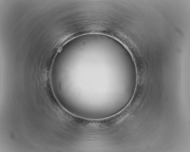 X0000115821169200911271131