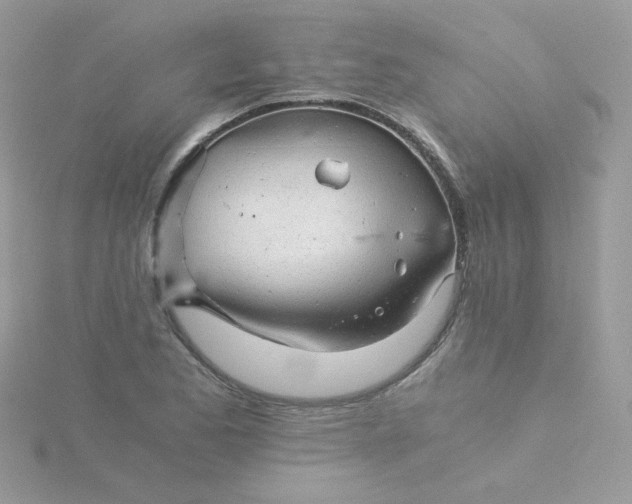 X0000115821173200911271131