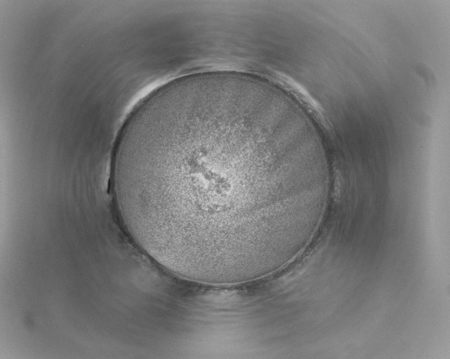 X0000115821174200911271131