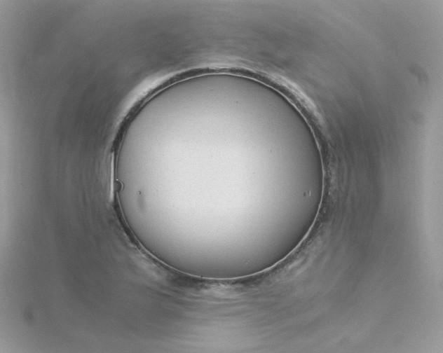 X0000115821175200911271131