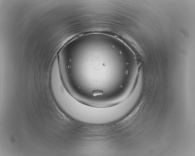 X0000115821177200911271131