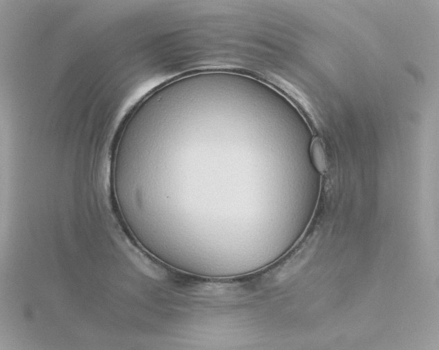 X0000115821179200911271131