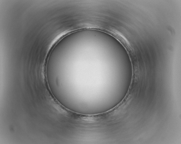 X0000115821182200911271131