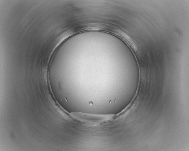 X0000115821186200911271131