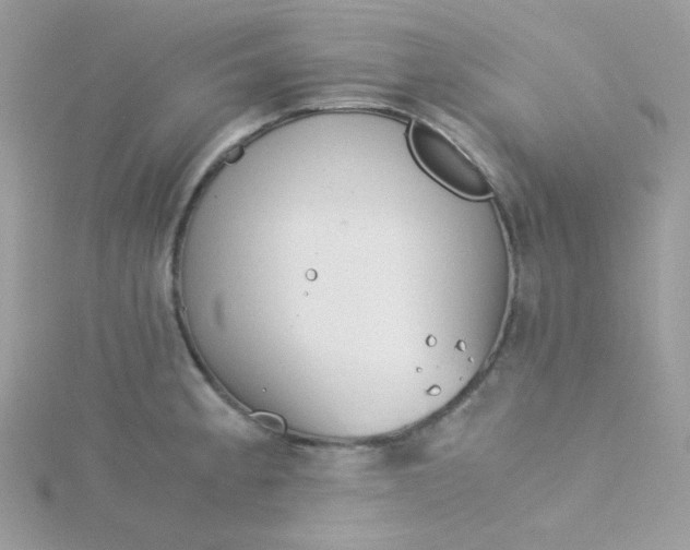 X0000115821189200911271131