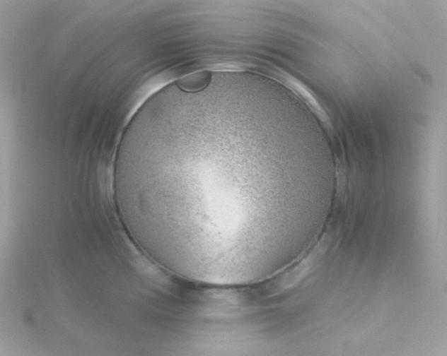 X0000115821194200911271131