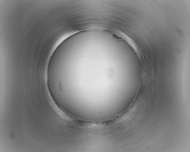 X0000115821195200911271131