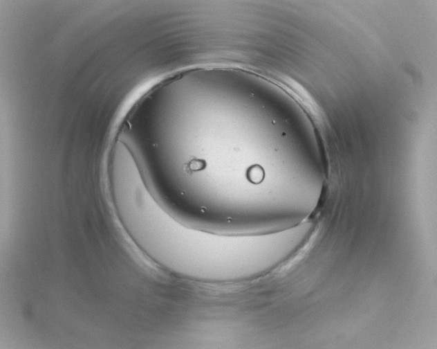 X0000115821196200911271131