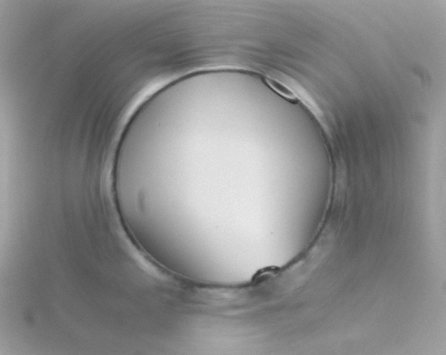 X0000115821197200911271131