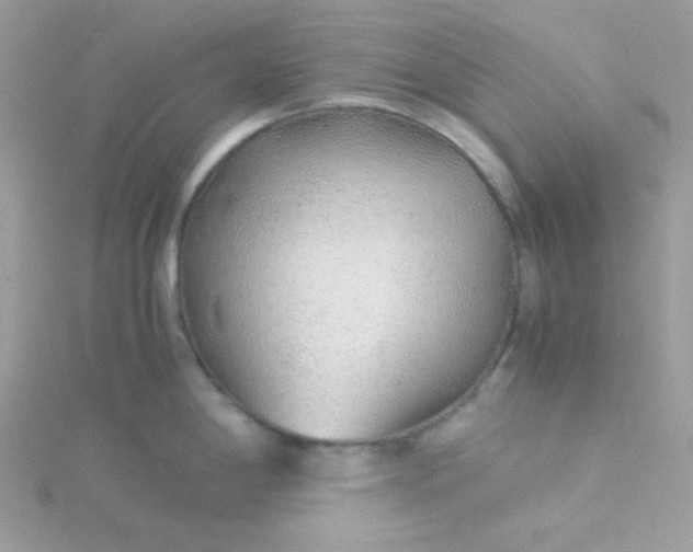 X0000115821198200911271131