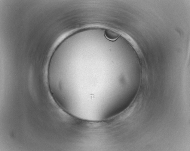 X0000115821199200911271131