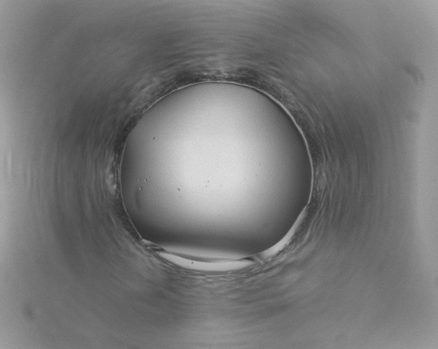 X0000115821202200911271130