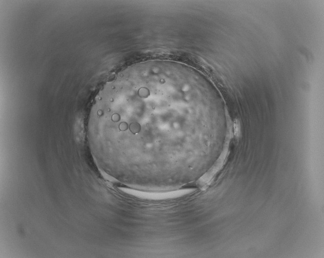 X0000115821203200911271130