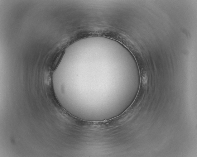 X0000115821204200911271130