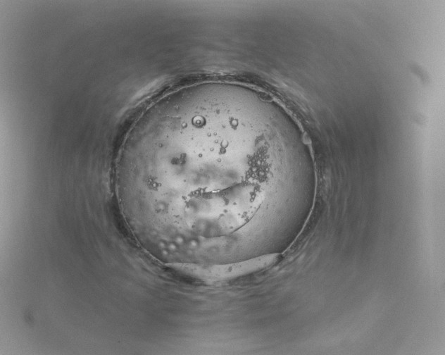 X0000115821205200911271130