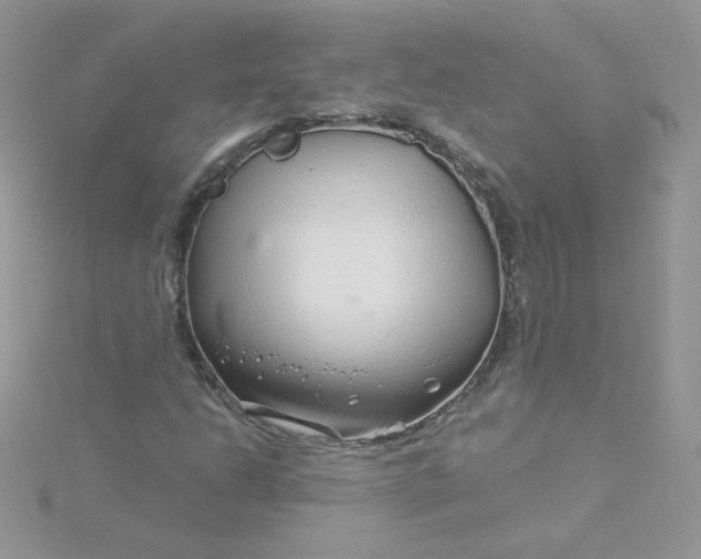 X0000115821206200911271130