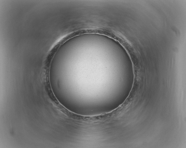 X0000115821208200911271130