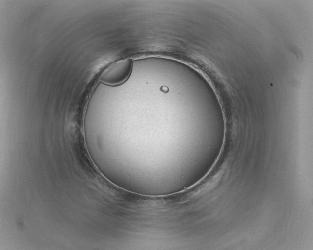 X0000115821210200911271130