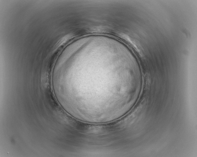 X0000115821211200911271130