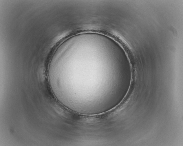 X0000115821213200911271130