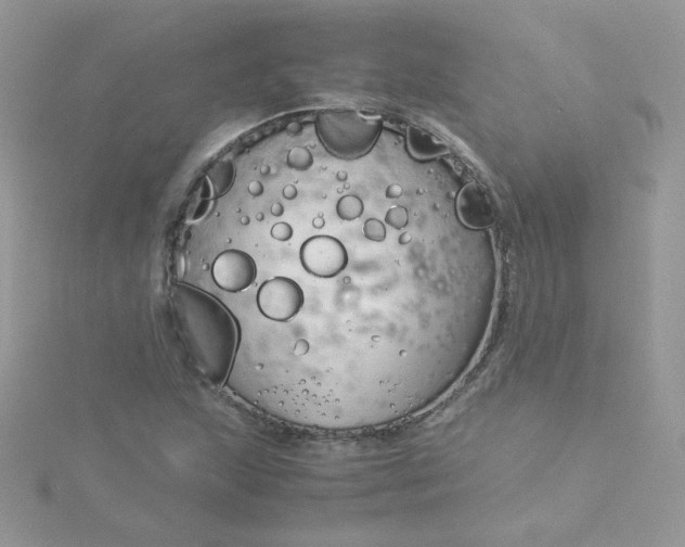 X0000115821215200911271130