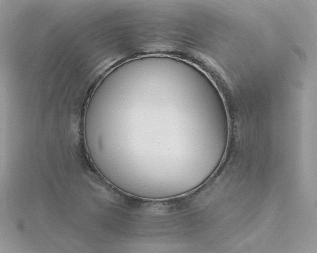 X0000115821217200911271130