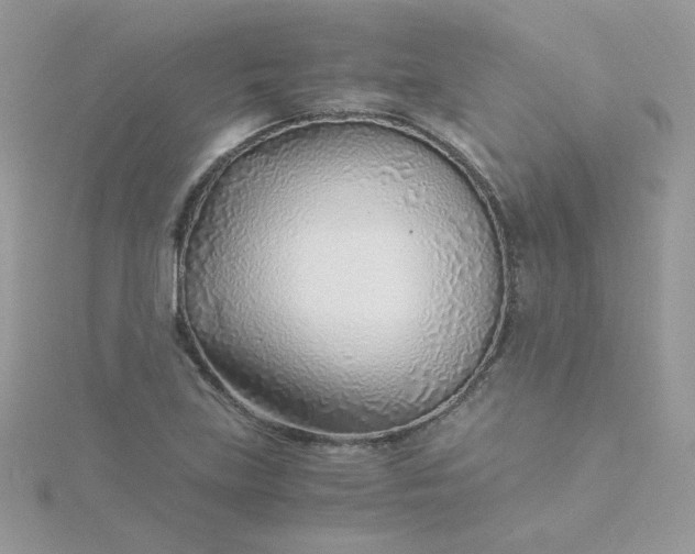 X0000115821219200911271130