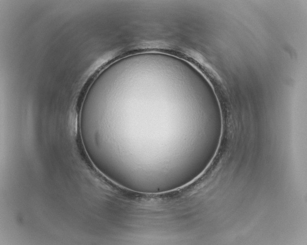 X0000115821221200911271130