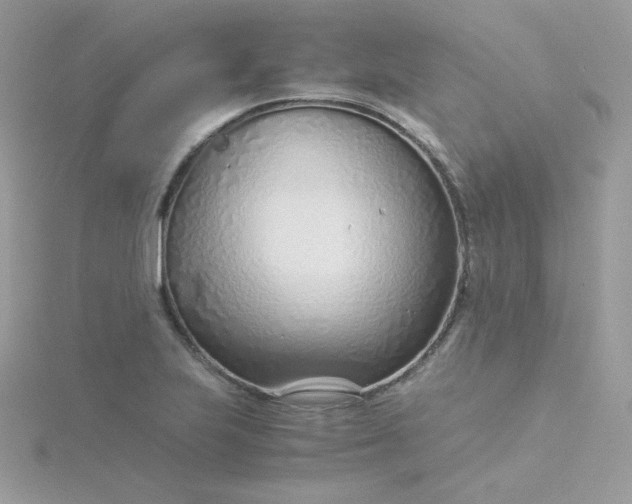 X0000115821223200911271130