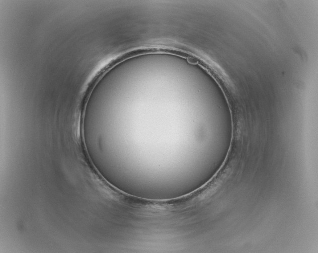 X0000115821224200911271130