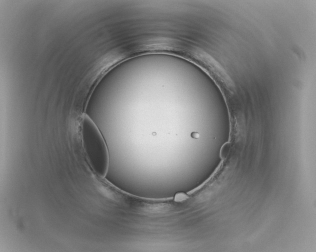 X0000115821225200911271130