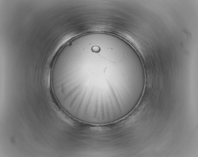 X0000115821227200911271130