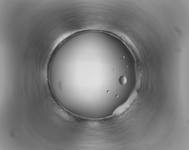 X0000115821230200911271131