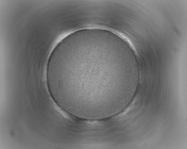 X0000115821231200911271131